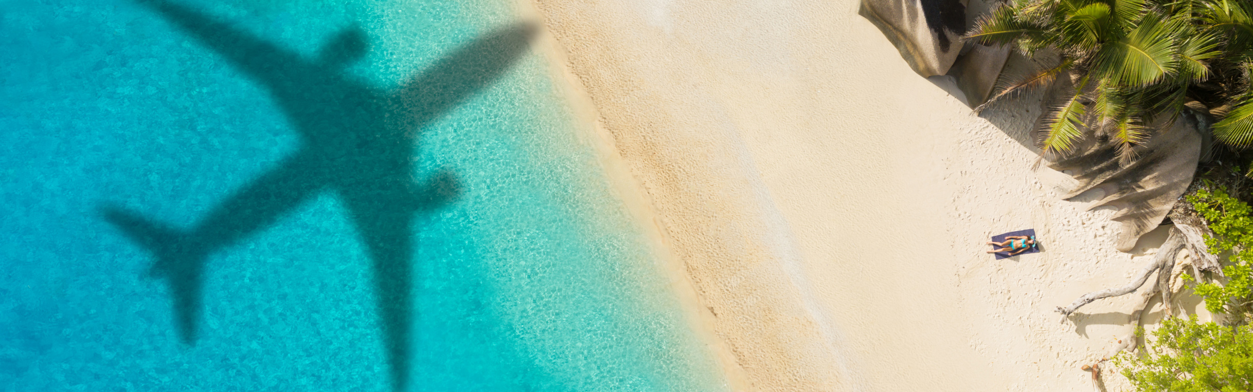 Shadow of airplane flying over coastal beach