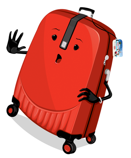 Sassy Suitcase
